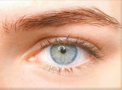 Wimpern vor Wimpernlifting